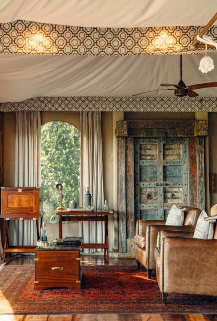 Duba Plains Safari Experience in the Okavango Delta