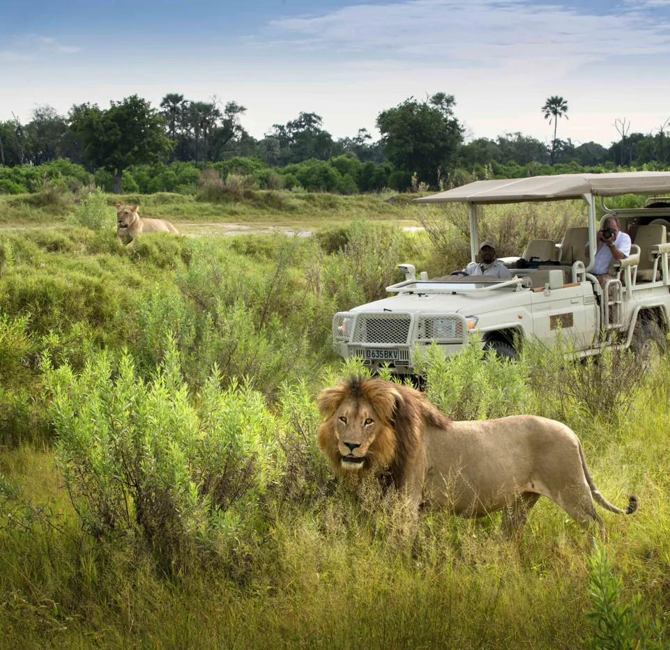 Xigera Safari Lodge Botswana
