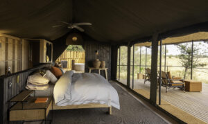 Kiri Camp in the Okavango Delta offering contemporary safari accommodation and exceptional wildlife experiences in Botswana