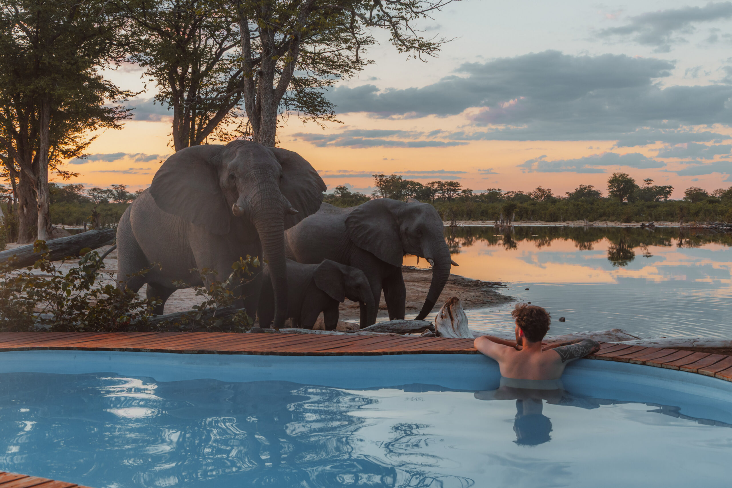 Bots_Elephant Pan_Swimming Pool 5 (1)