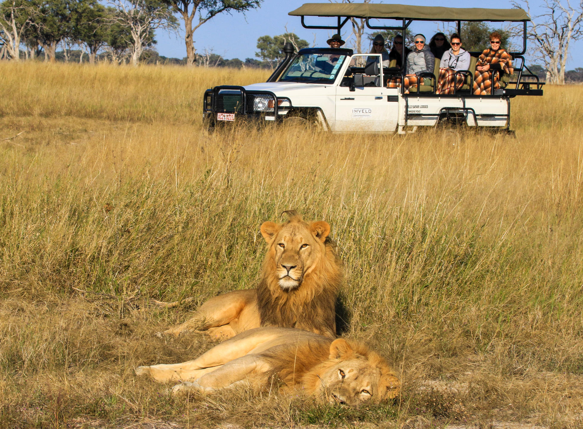 Butch and Nqwele Game Drive
