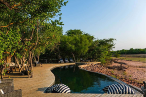 Zimbabwe safari experience across Hwange National Park, Lake Kariba, and Mana Pools, featuring wildlife, landscapes, and remote safari camps