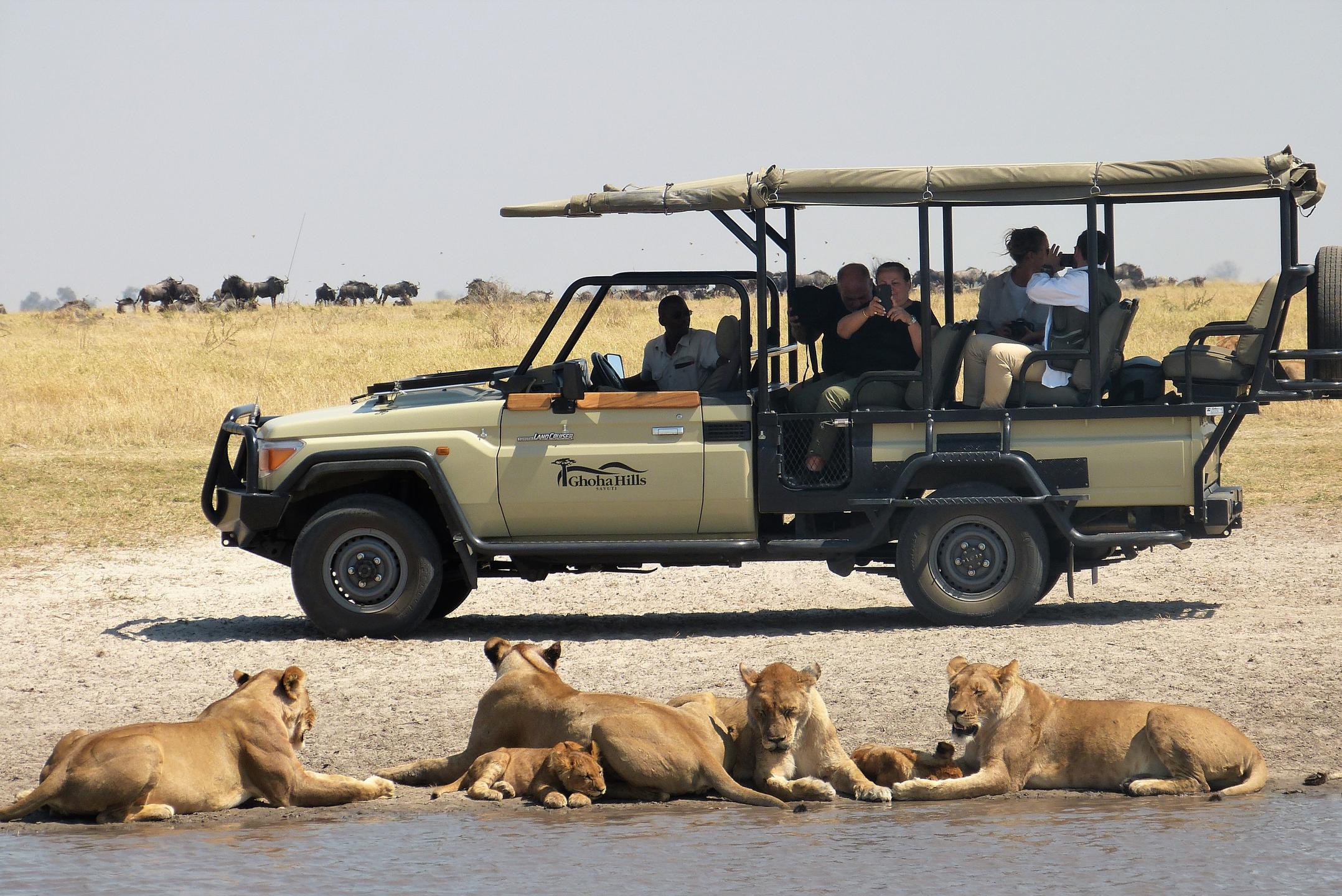 Ghoha Hills_ Game Drive