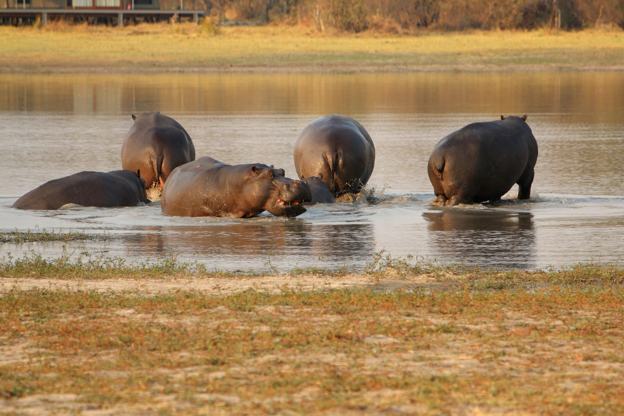 Vast plains of Nogatsaa Pans Botswana safari