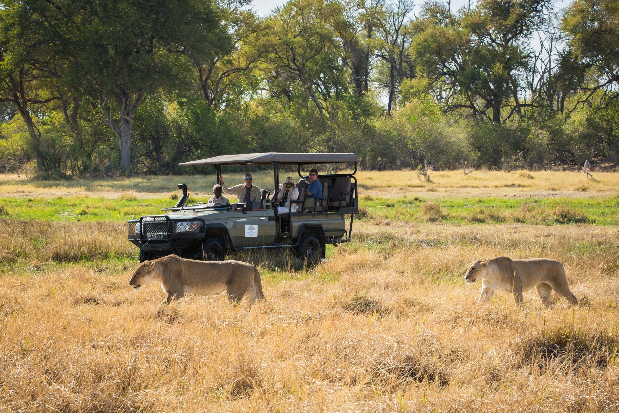 Machaba Camps Game Drive