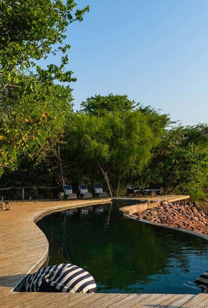 Zimbabwe safari experience across Hwange National Park, Lake Kariba, and Mana Pools, featuring wildlife, landscapes, and remote safari camps