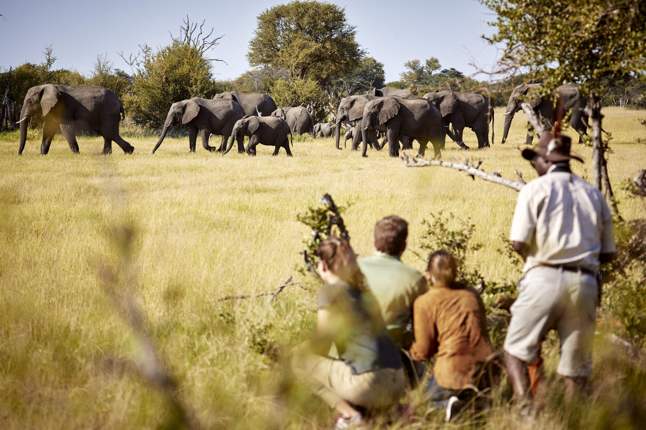 imvelo_safari_lodges_-_camelthorn_-_walking