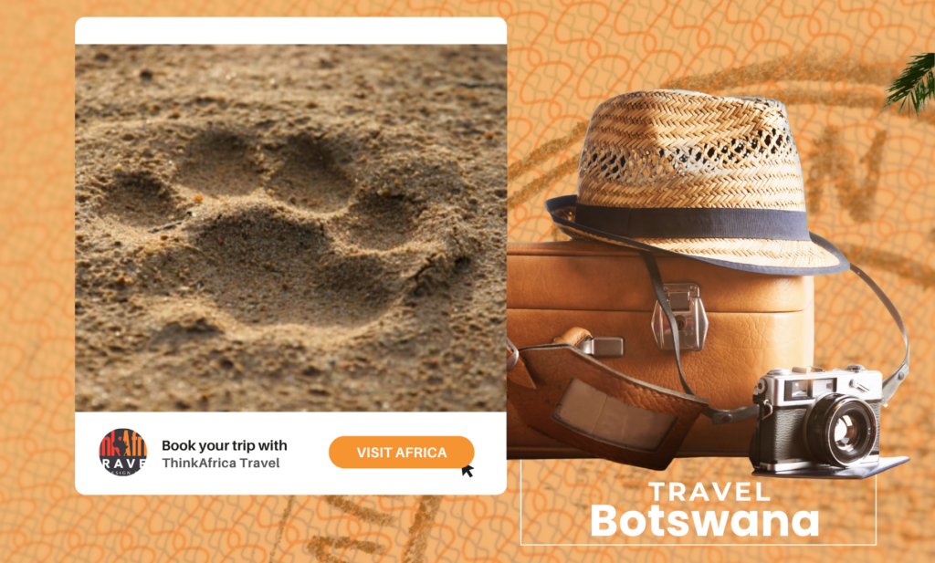 Think Africa Travel - Travel to Botswana