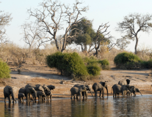Maun Botswana