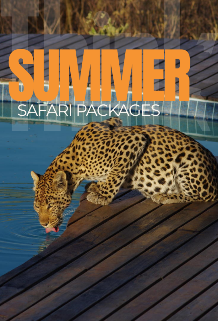 Think Africa Travel Summer Safari Packages