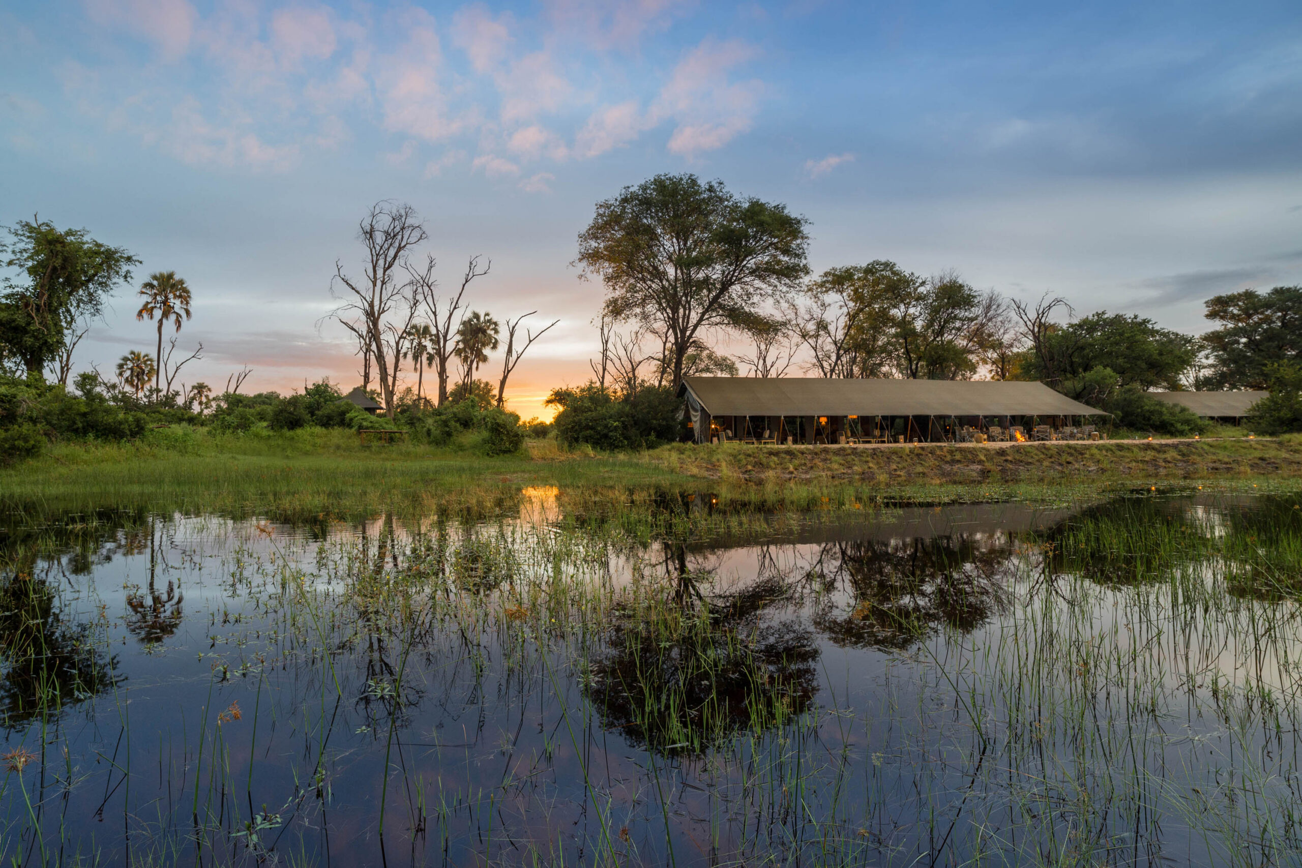 Gomoti Camp (2)