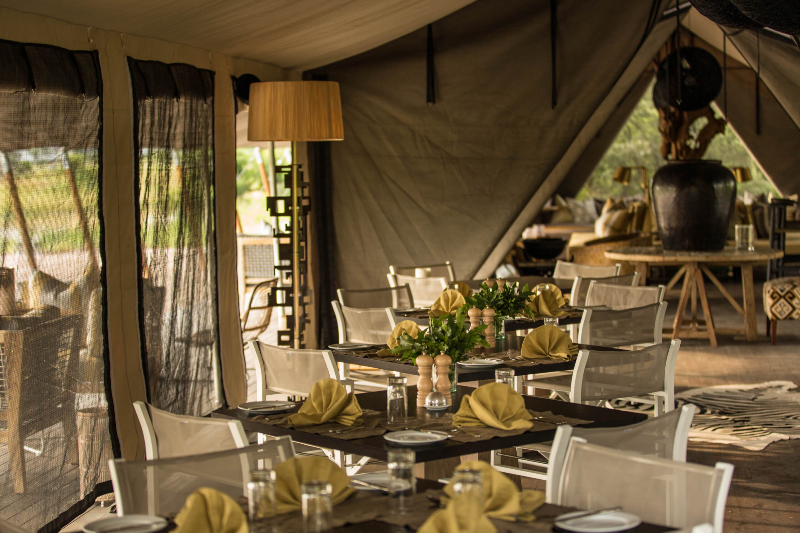 Gomoti Camp Wildlife and Activities (21)