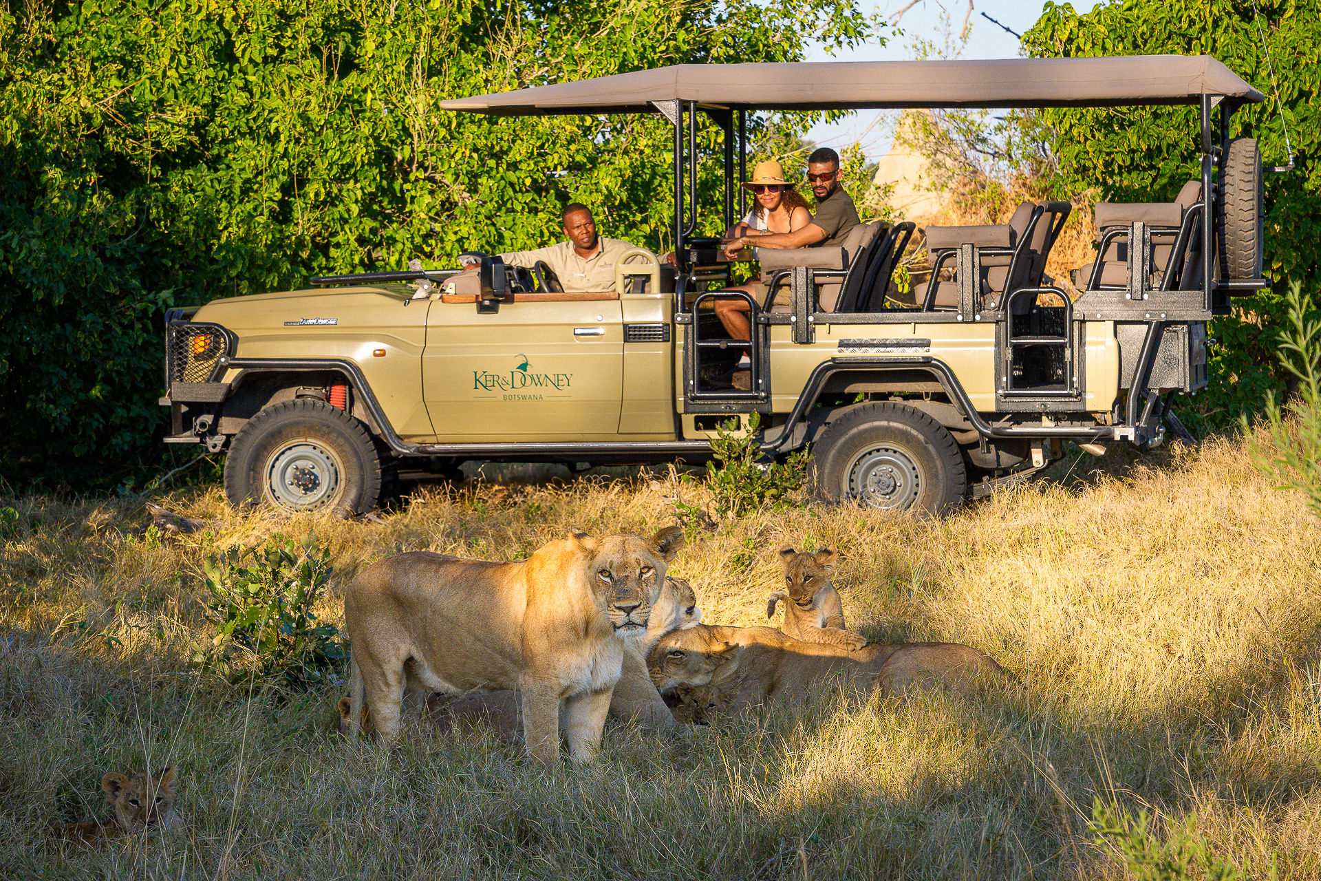 Kanana_activity_gamedribe_guests_lions