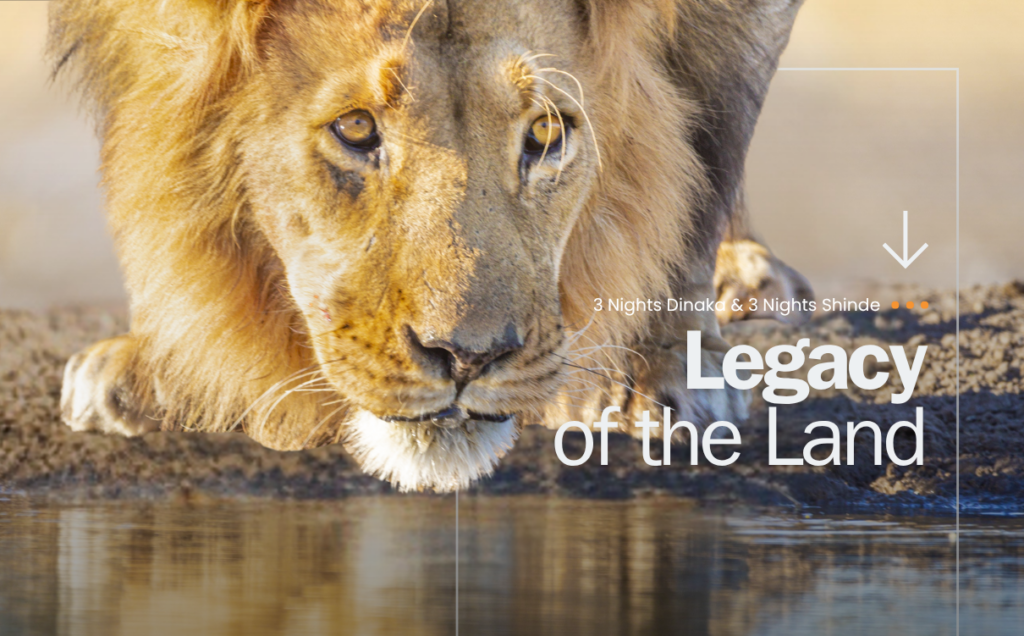 Legacy of the Land Travel Offer with Think Africa Travel